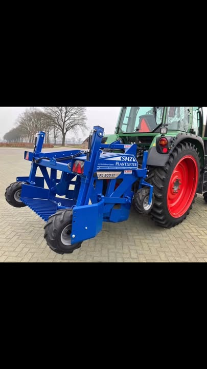  EENTJE IN DE CATEGORIE BLAUW OP